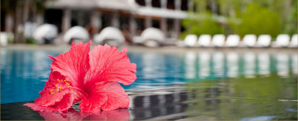 Gayana Marine Resort โกตาคินาบาลู ภายนอก รูปภาพ